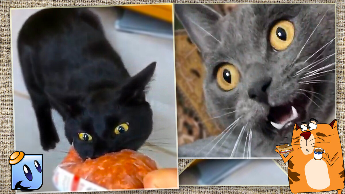 А счастье было так близко!