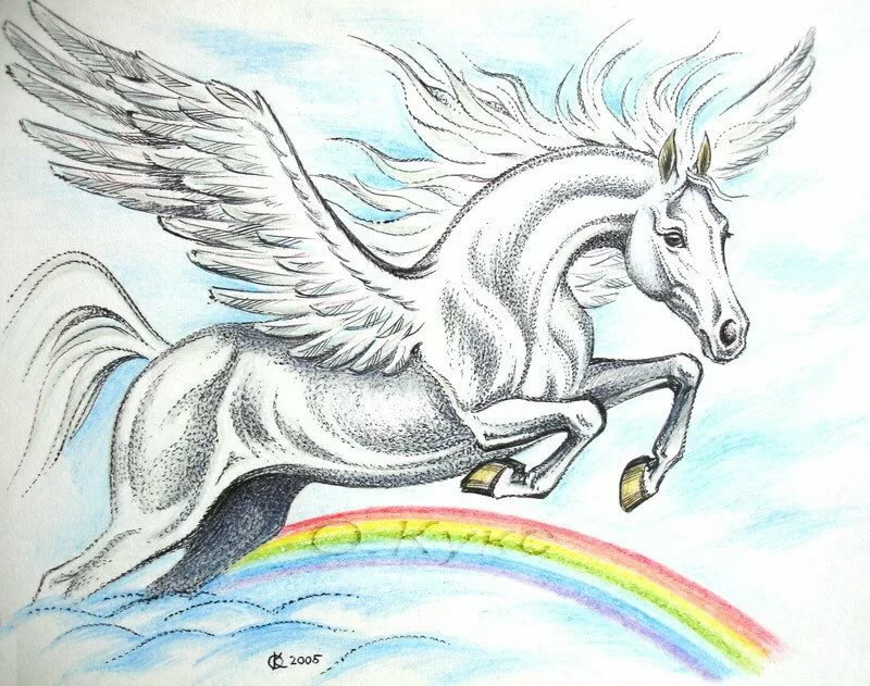 Картинка из интернета