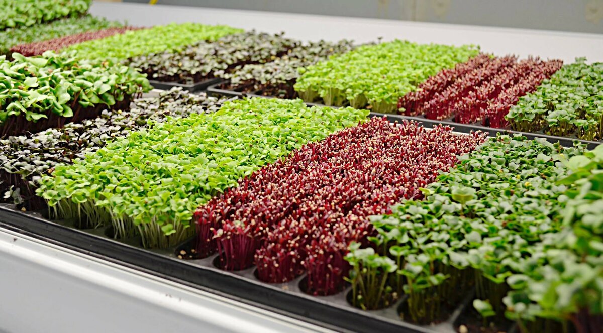 Источник: Яндекс.Картинки