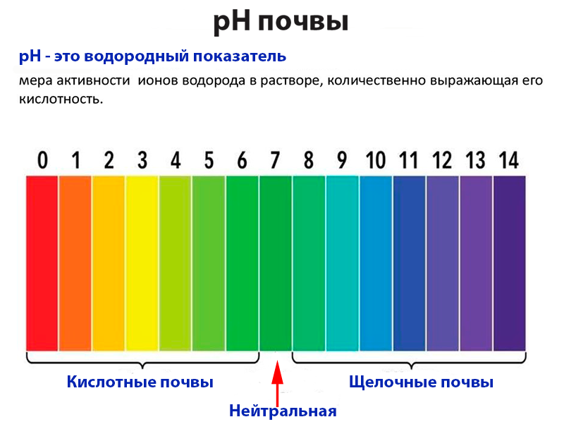 Таблица кислотности