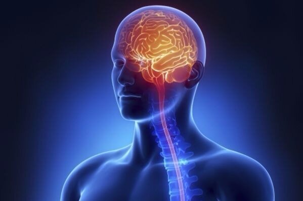 Источник: https://tgraph.io/file/02a420cd7ba9285bdab71.jpg