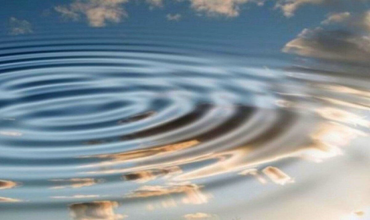 Где внимание, там и сила!