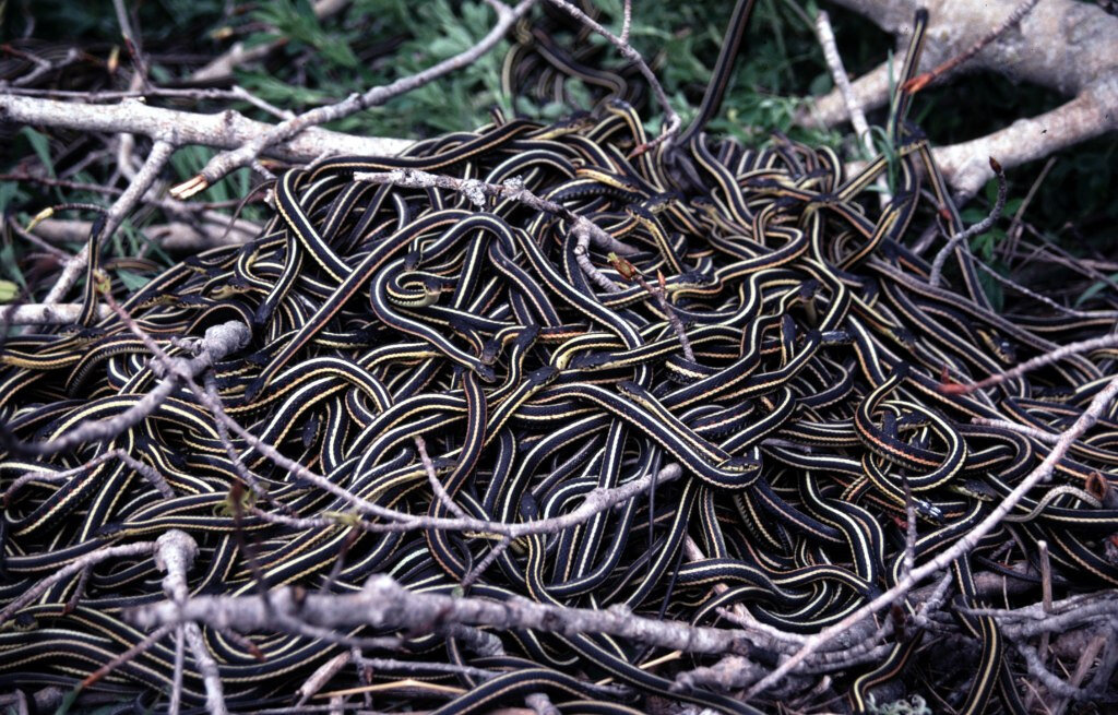 Фото взято с Яндекс Картинок