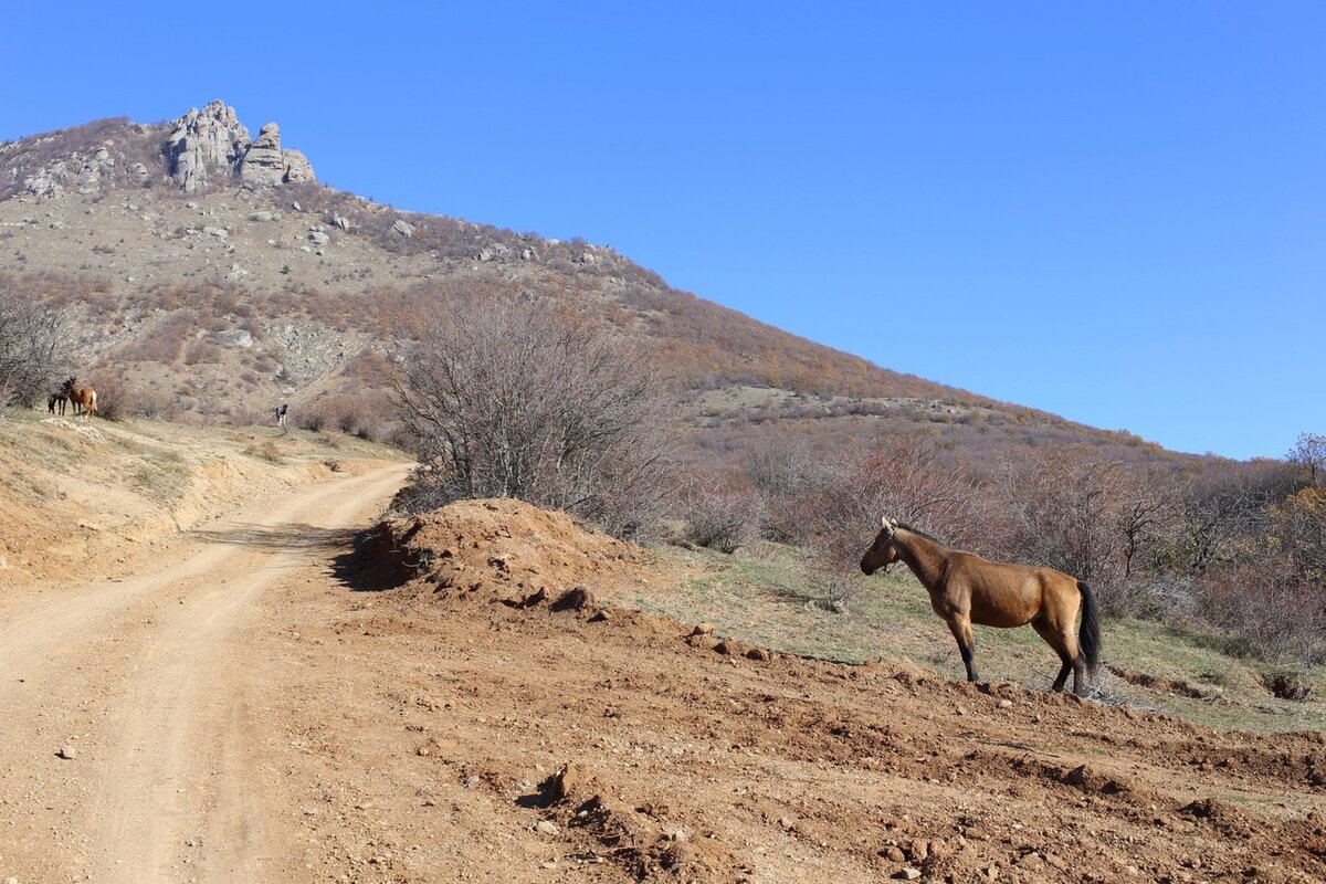 Тропа из Лучистого на Южную Демерджи