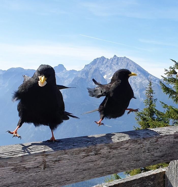 Фото: Oliver Hornberger, Facebook