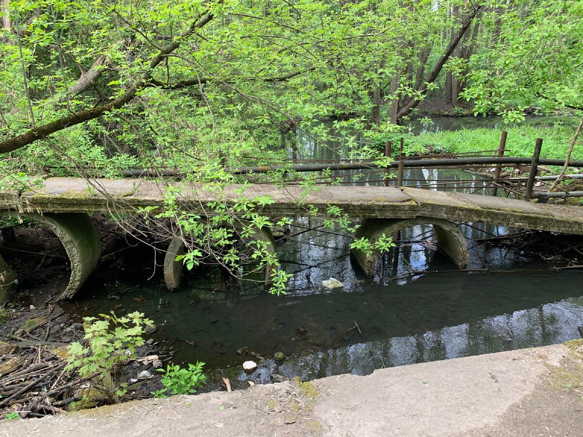 Старый мост