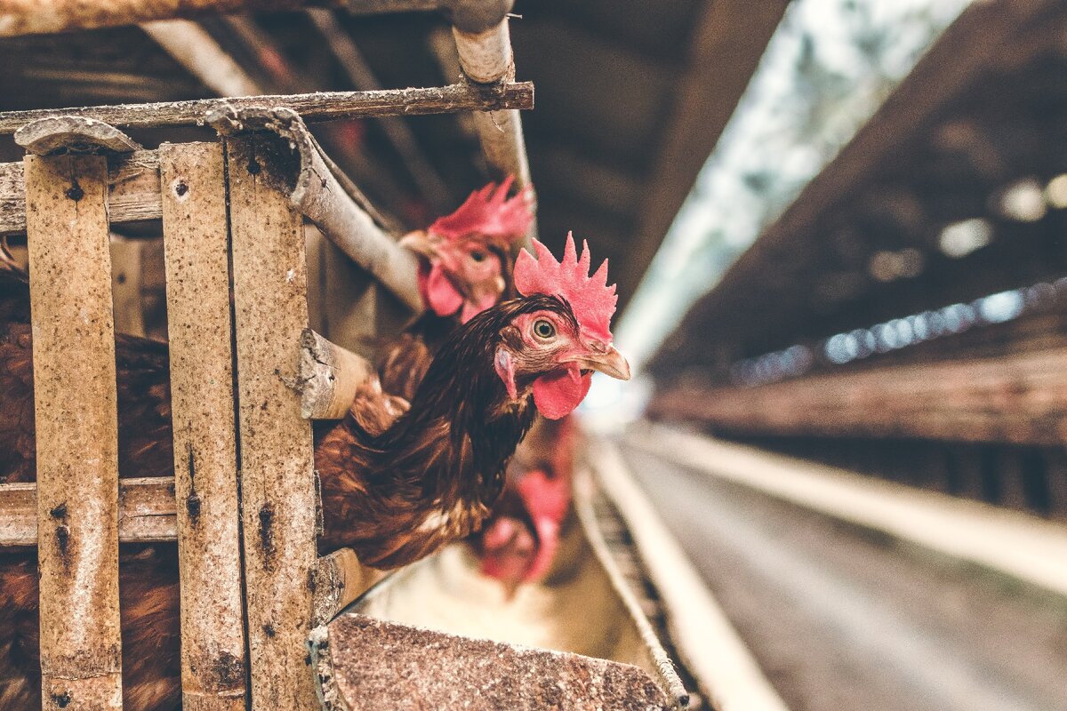 Photo by Unsplash