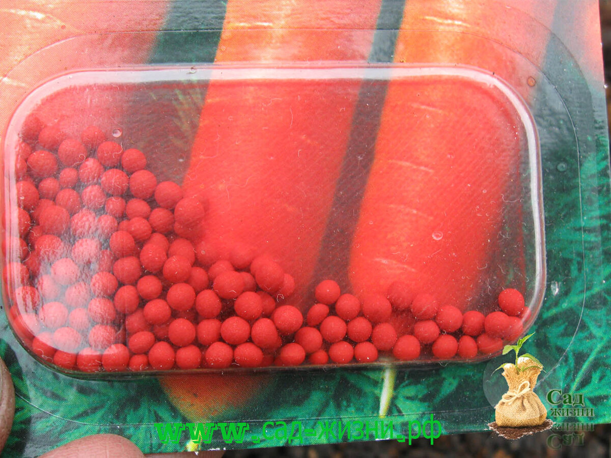 Семена моркови в гранулах