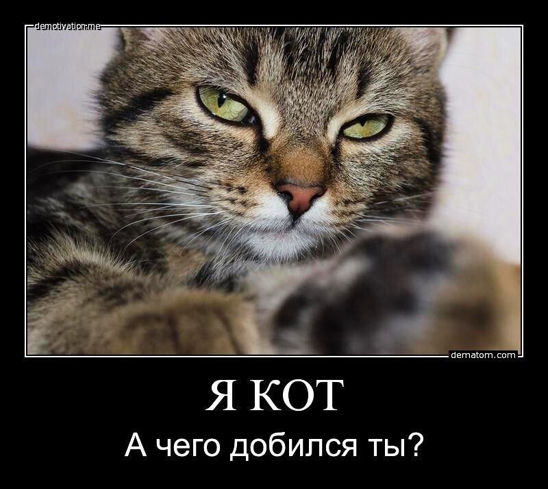 Источник - Яндекс Картинки