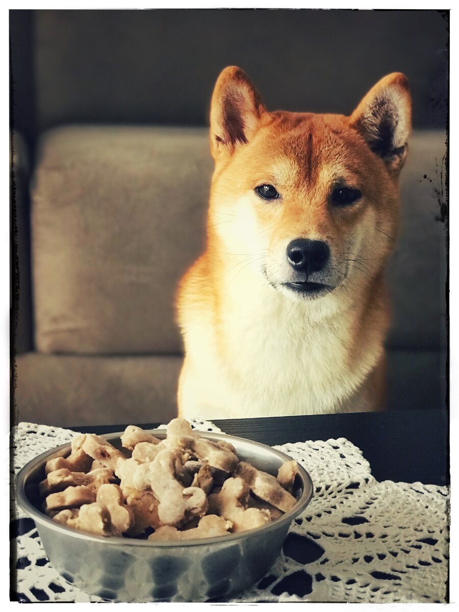 В ожидании поощрения, за терпение