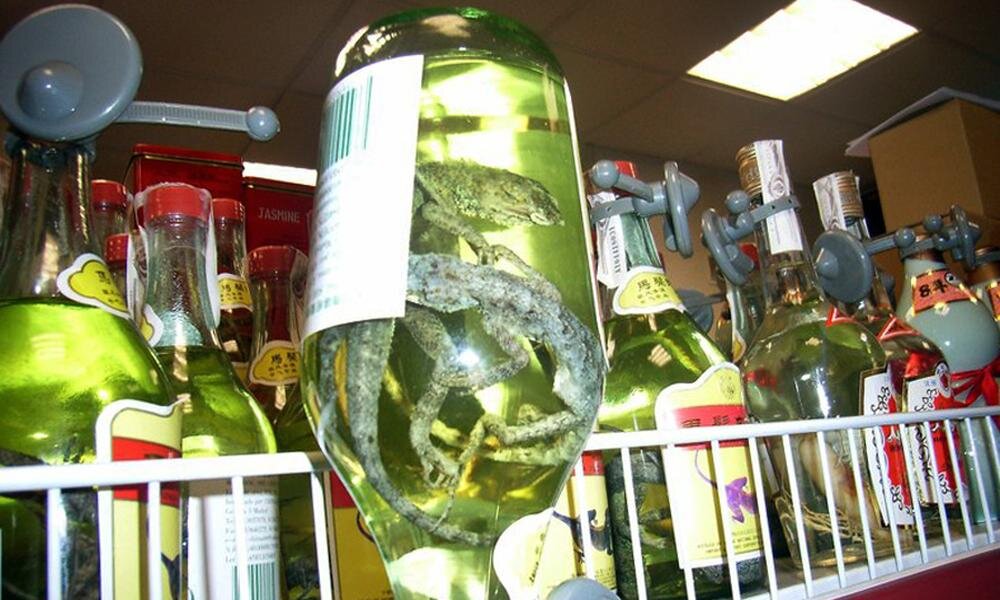 Фото из открытых источников