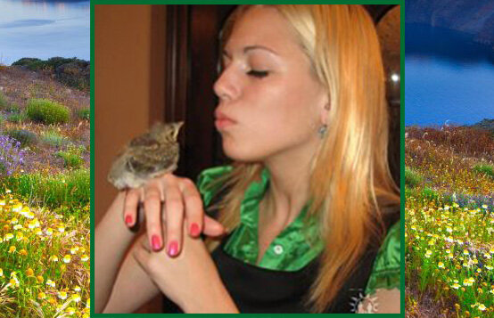 Вот такого кроху мы нашли. Фото автора