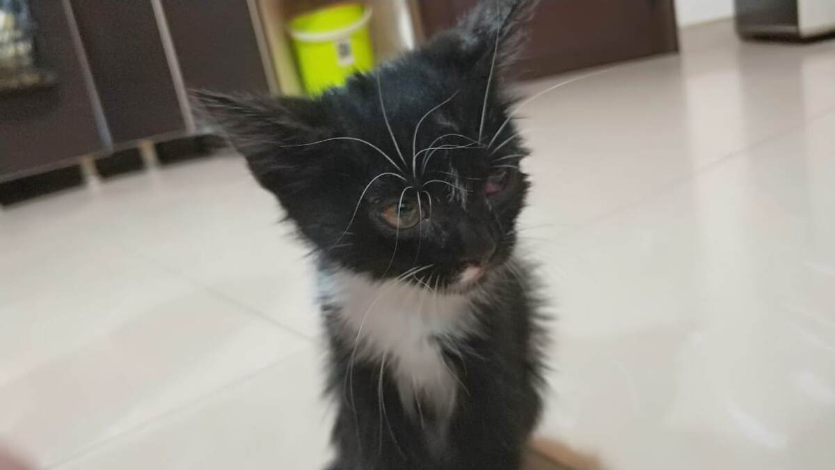 Вот наш красавчик!