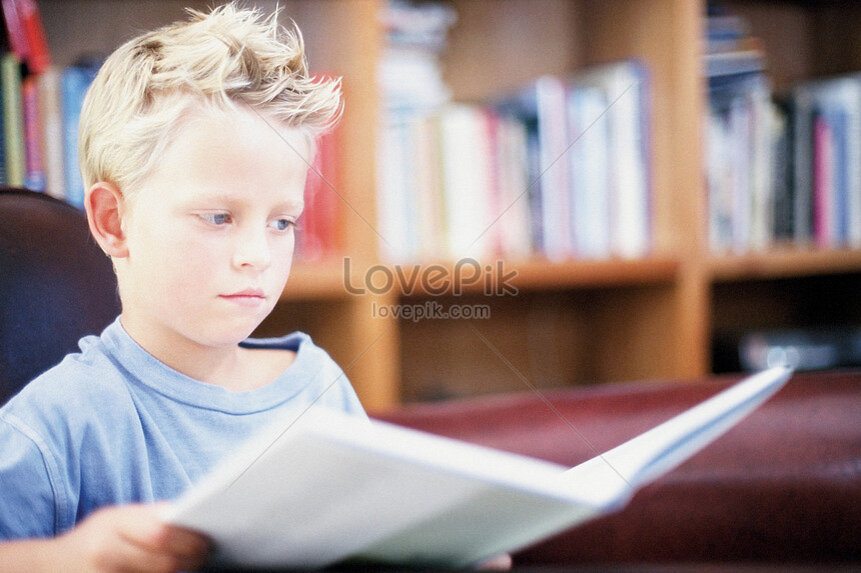 Фото взято из открытого источника в Интернете. https://img.lovepik.com/photo/50149/0401.jpg_wh860.jpg