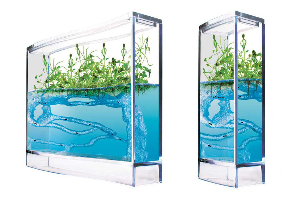 Муравьиная ферма из геля