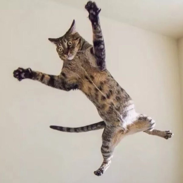 Пять минут полет нормальный