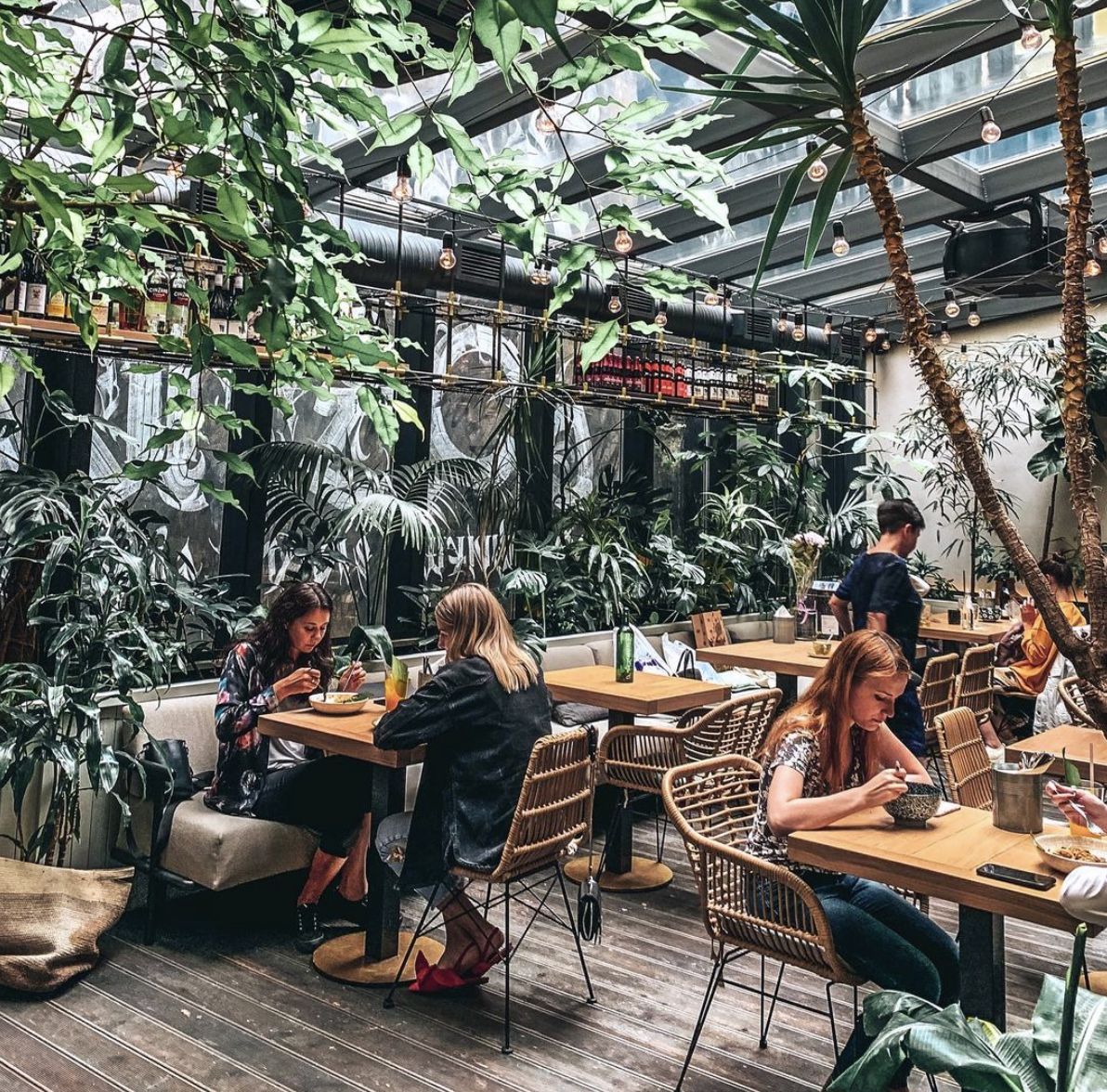 Джангл кафе питер. Джангл ресторан спб. Ресторан джунгли спб. Jungle ресторан санкт-петербург. Ресторан джунгли санкт петербург.