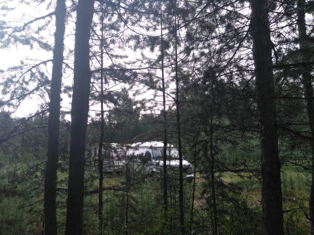 В лесу за Хилоком