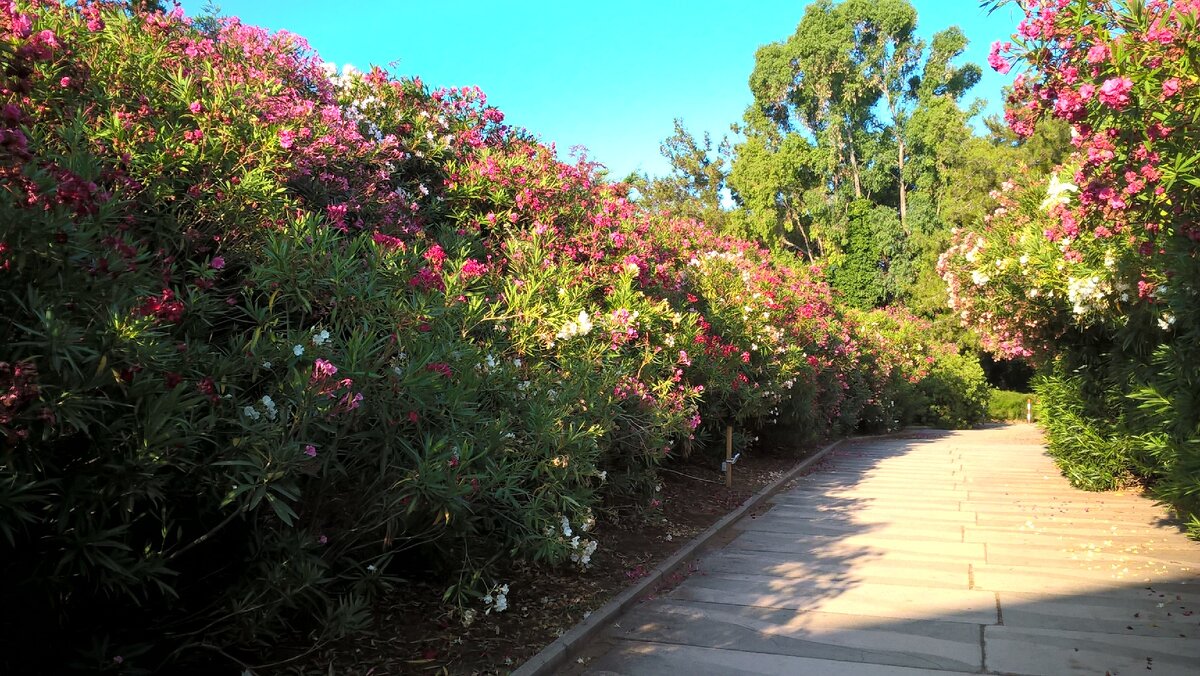 ходила бы так каждый день