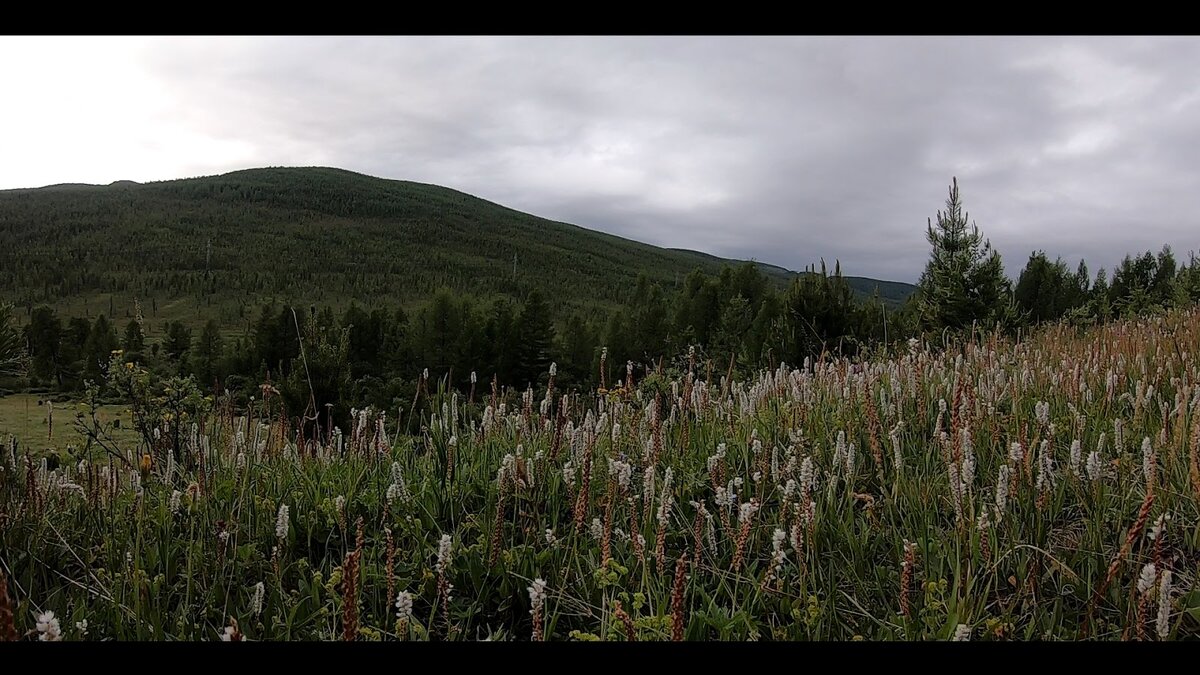 Пасмурное утро можно перепутать с вечером 