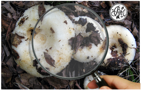 Ставьте лайки и подписывайтесь на мой канал.