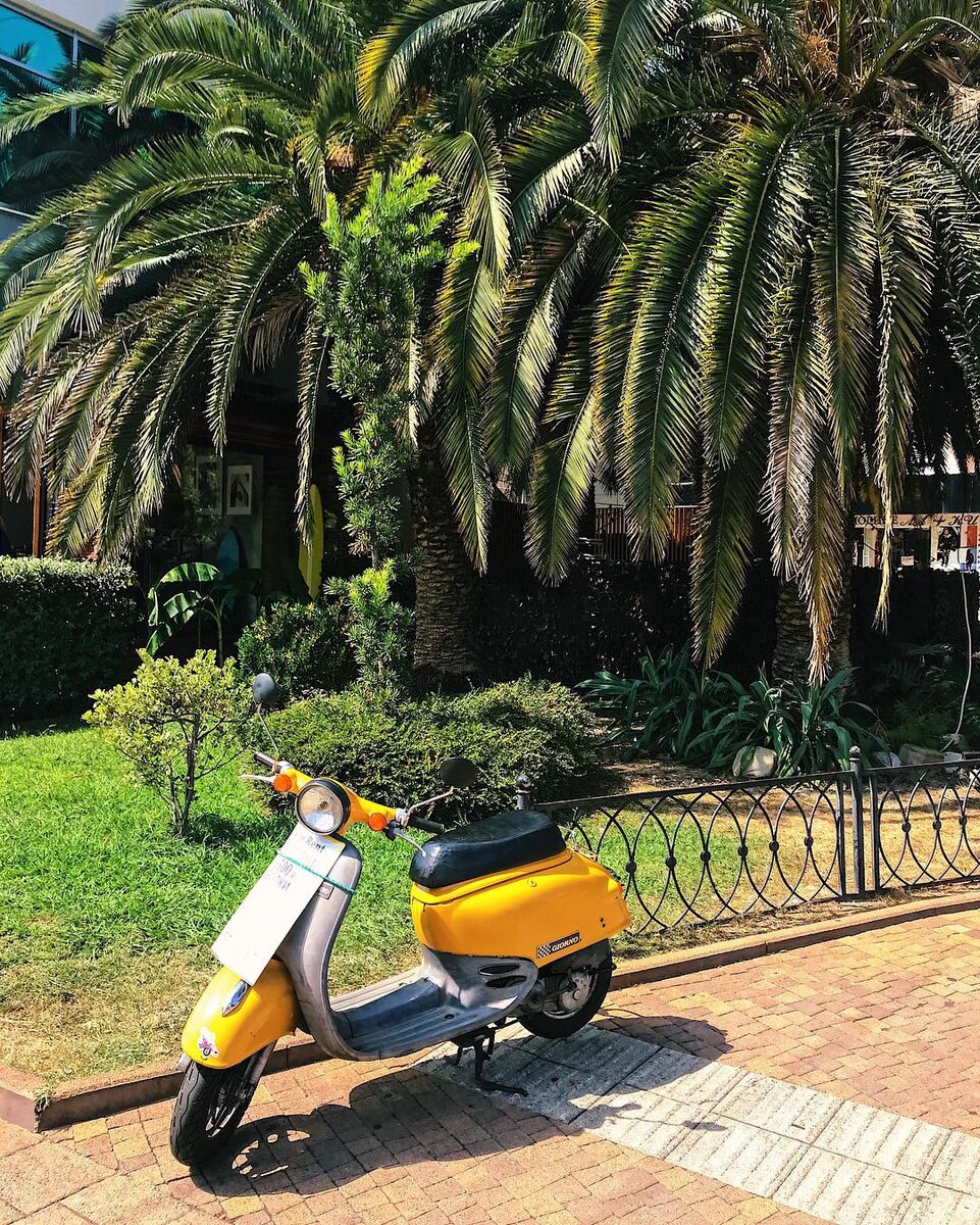 Центр Сочи (фото из инстаграм @malysh_kina)