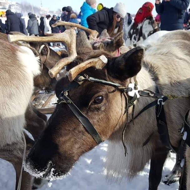 Фото: Instagram ncia_yanao