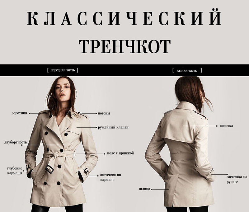 Coat перевод. Coat перевод на русский. Тренч перевод с английского.