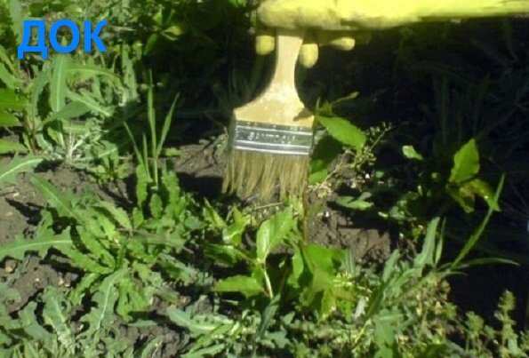 обработка кистью