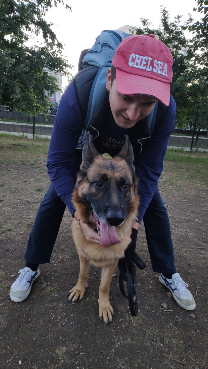 Это мы довольные на площадке для собак