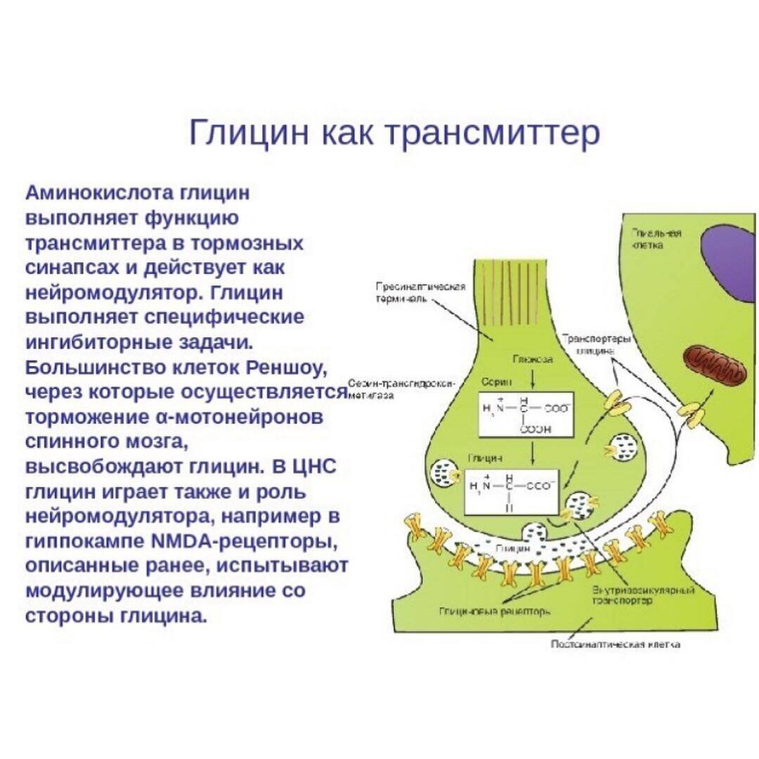 NOW Glycine, Глицин 1000 мг - 100 капсул