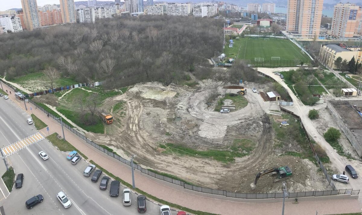 Участок Пионерской рощи, расчищенный под строительство детского сада