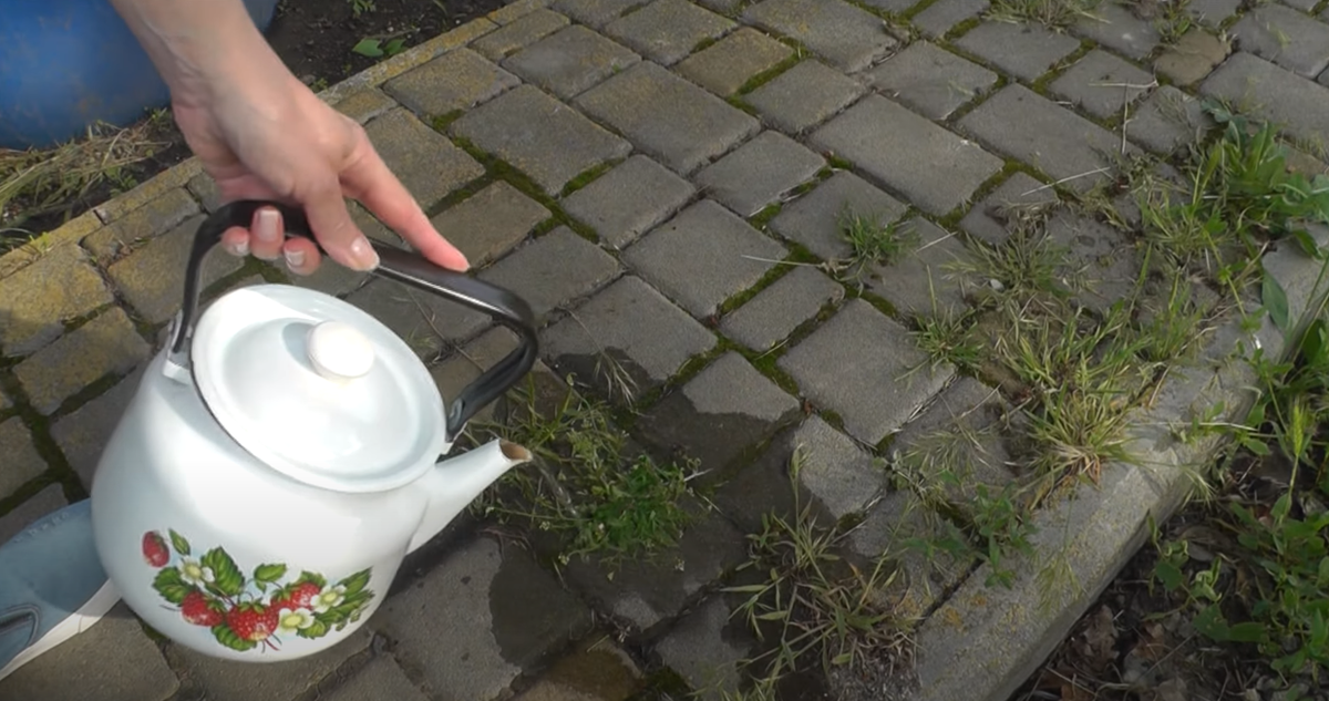 Подписывайтесь и ставьте "палец вверх"! Комментарии приветствуются!