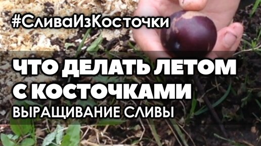 Девочку с косточками. Смотреть девочку с косточками онлайн