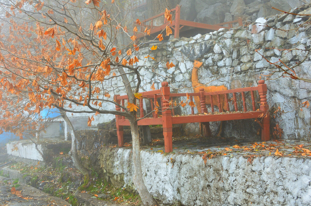 Придорожное кафе