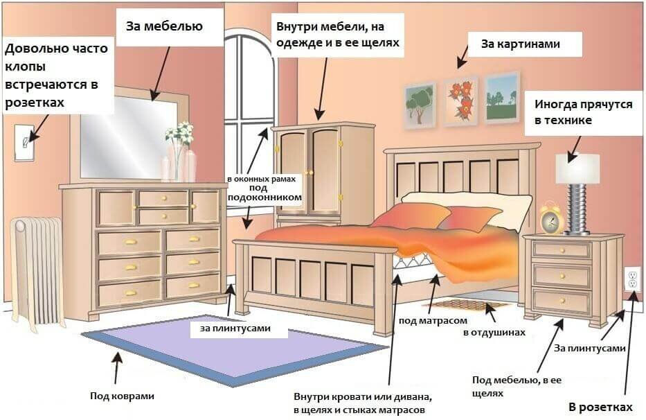 Фото взято из открытых источников интернета.