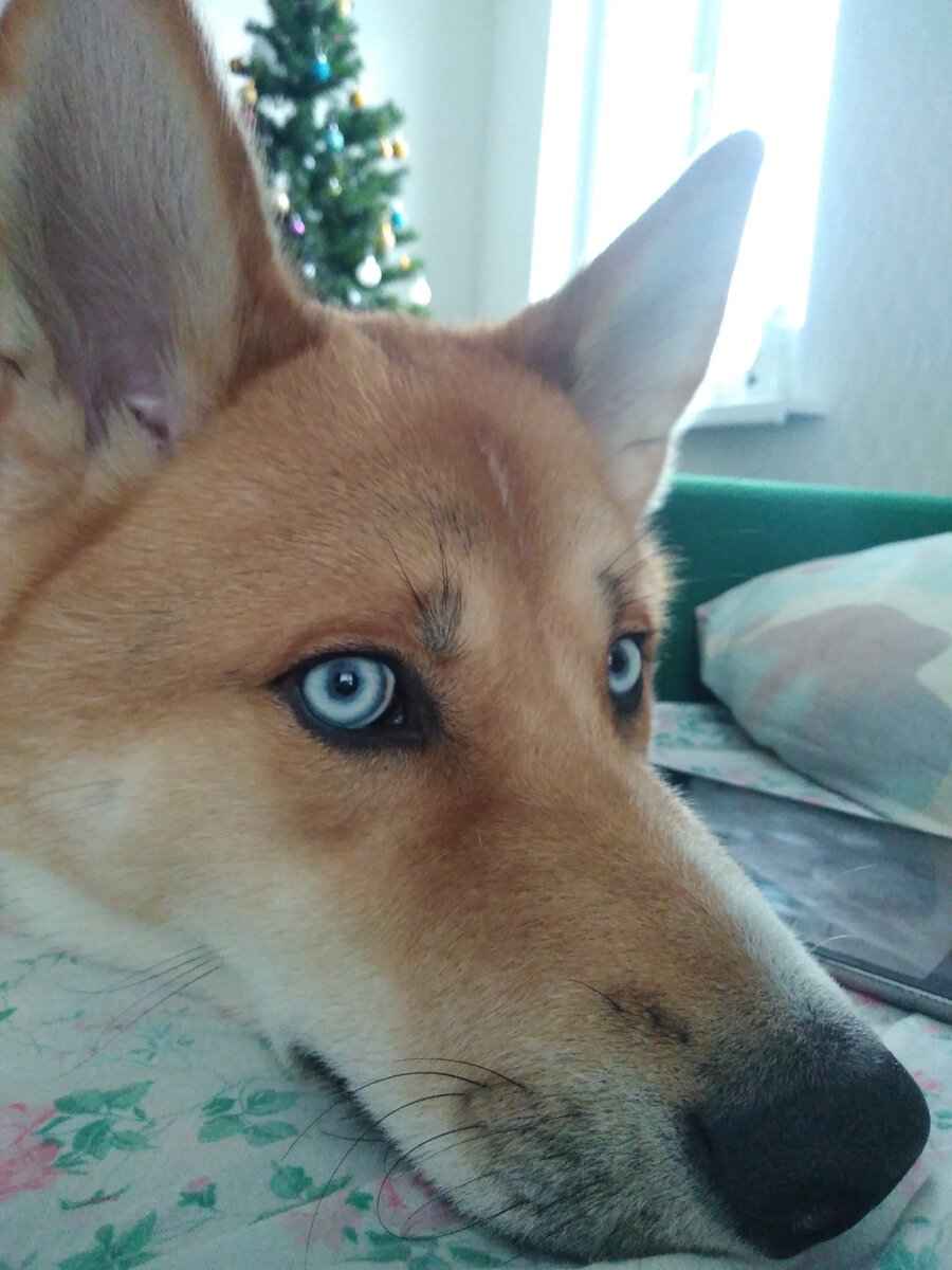 Утро начинается не с кофе)))