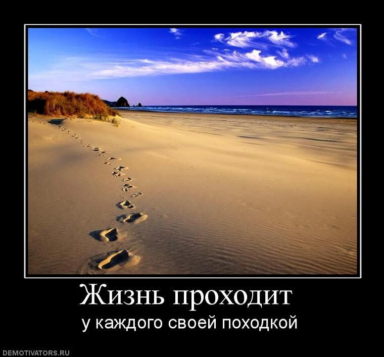 Яндекс картинки 
