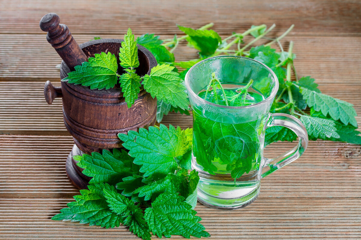 фото взято с платформы Яндекс картинки 
