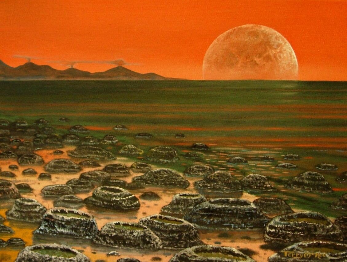 Картинка из открытых источников