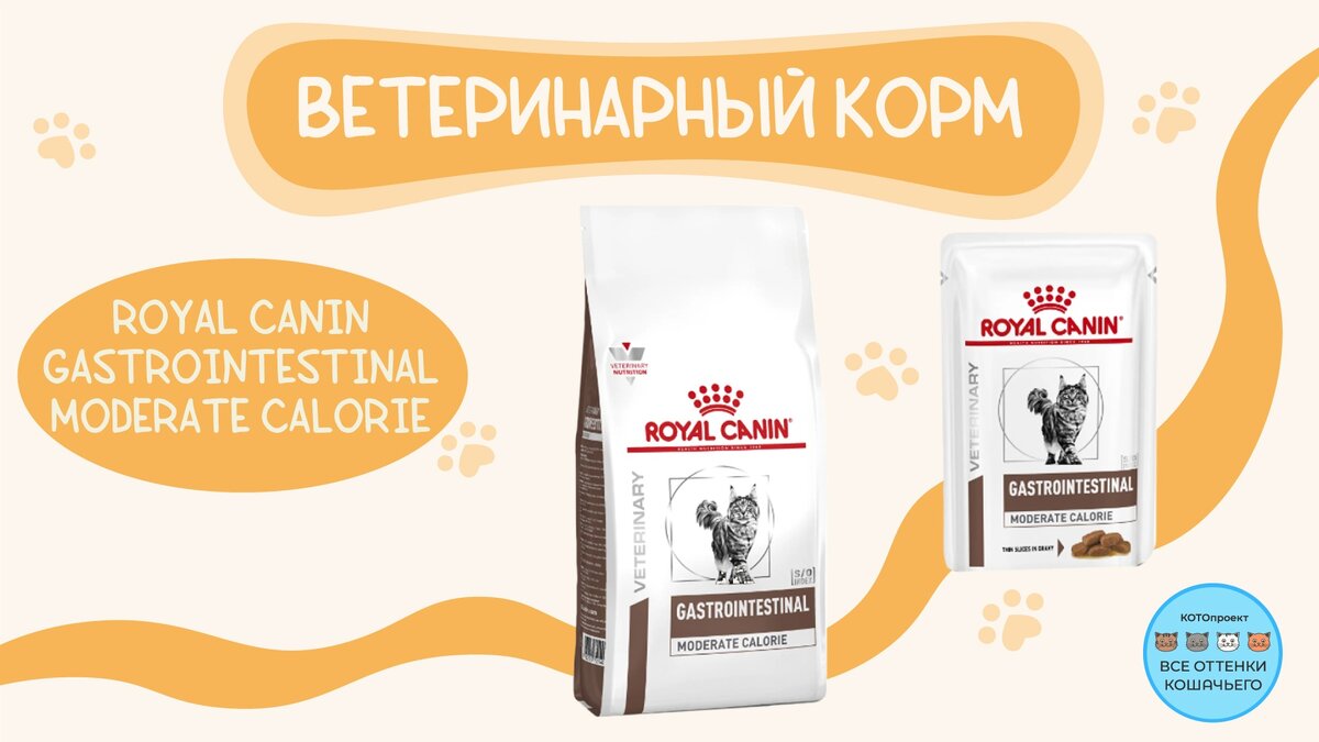 Виды кормов, которые сейчас необходимы. Серия Royal Canin Gastrointestinal Moderate Calorie