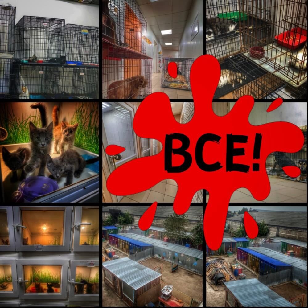 неужели все?