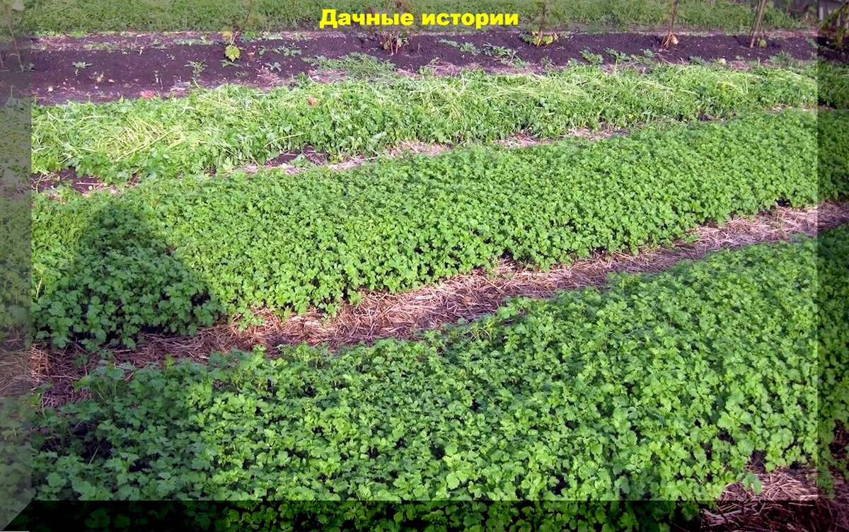https://vk.com/photo-159774511_457255355