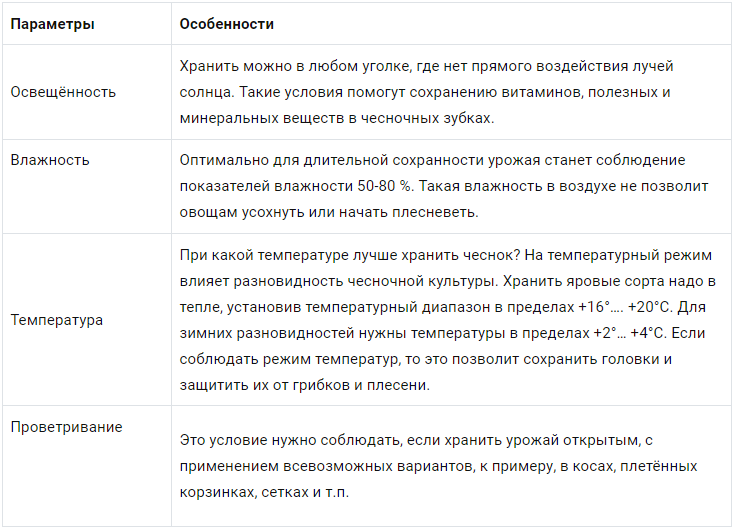 Как хранить чеснок – блог интернет-магазина бородино-молодежка.рф