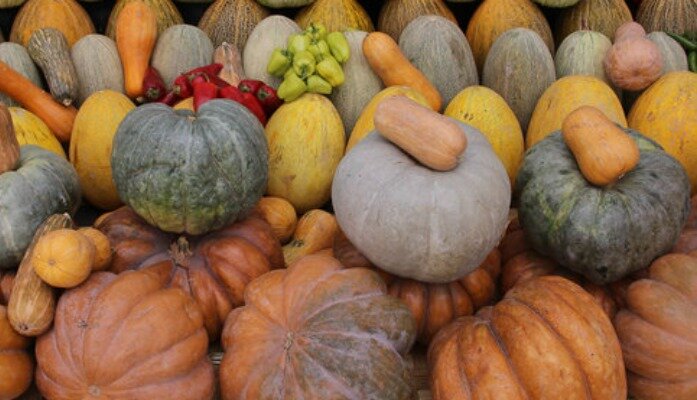 Осенний урожай. Фото из интернета