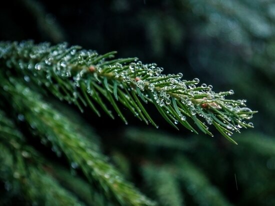     Фото: Freepic/wirest.