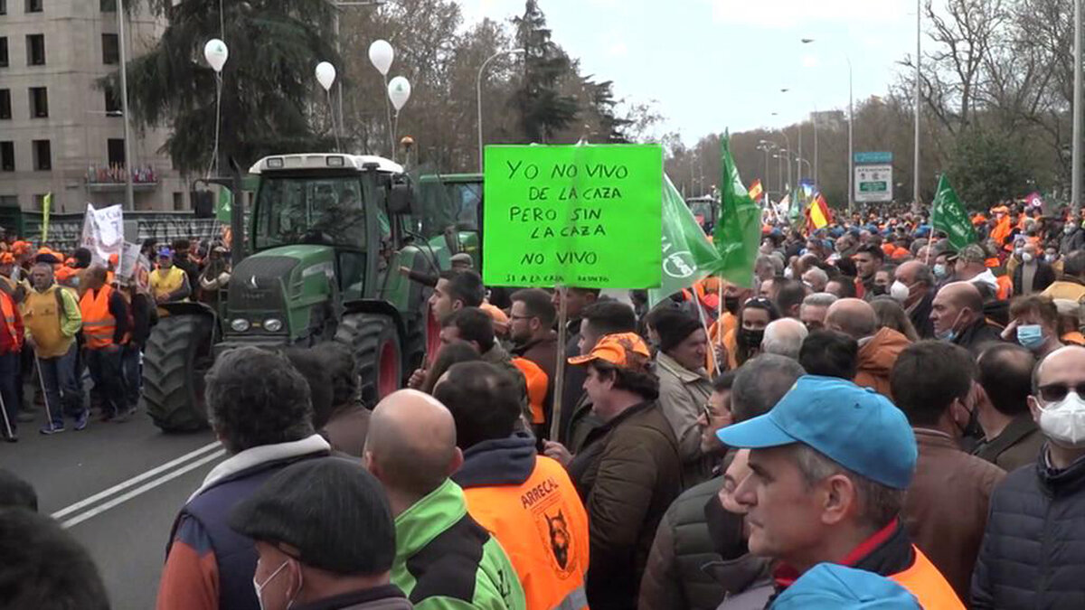 Фото взято из доступных источников в Интернете.