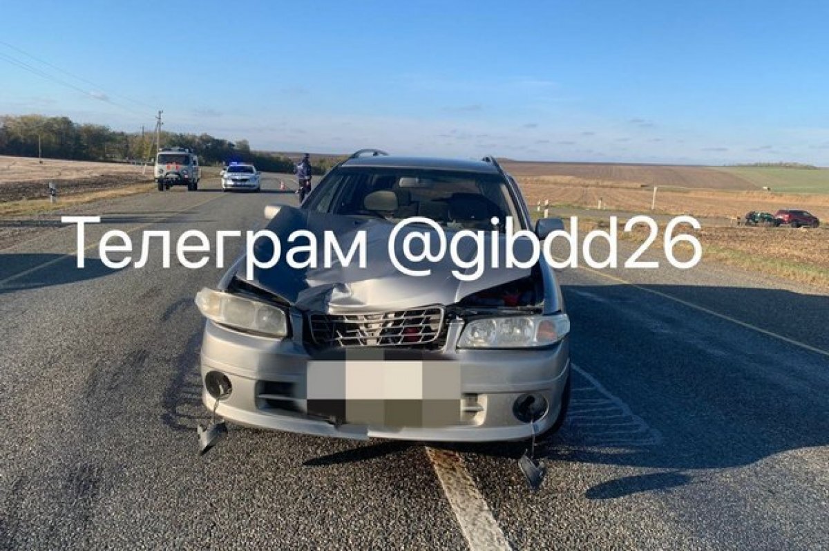    Пожилая ставропольчанка вышла из машины купить рыбу и погибла под колёсами