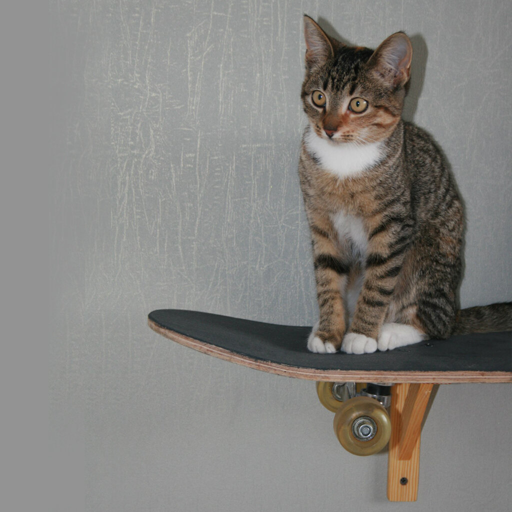 Которебёнок Аннушка