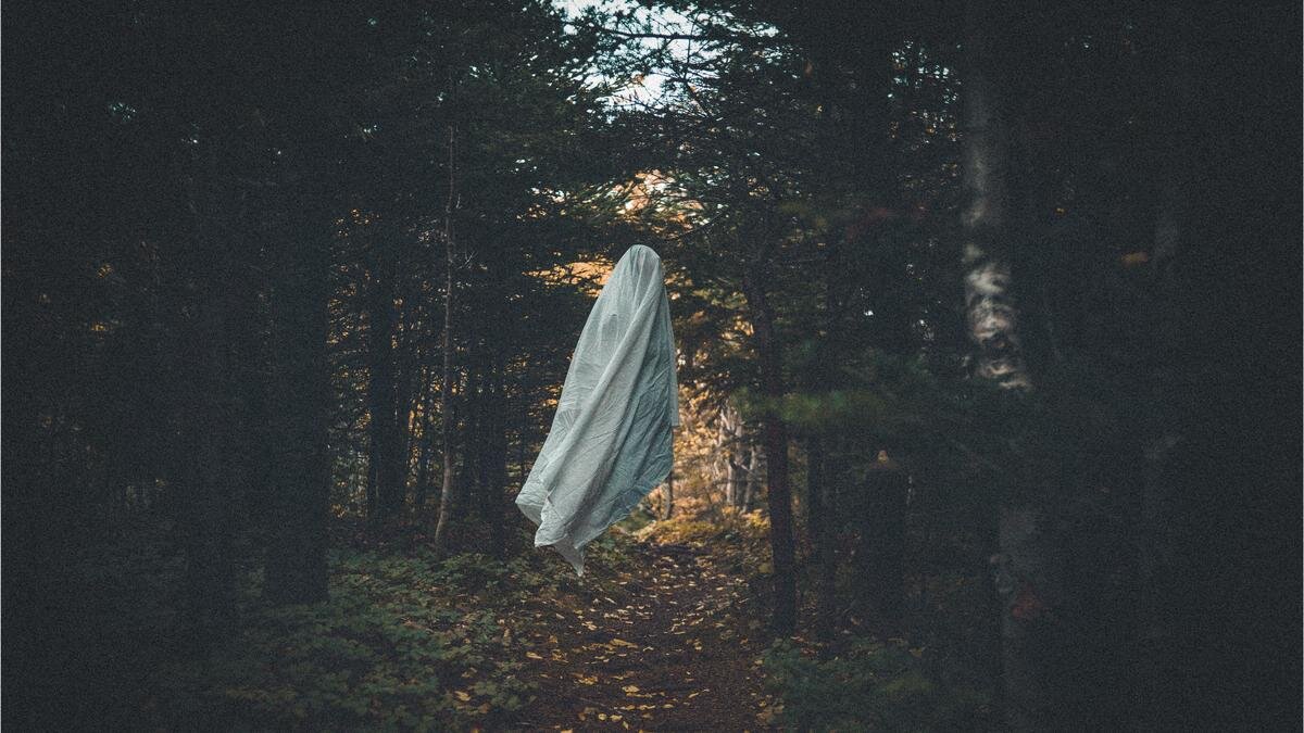    Фигура в лесу:Pexels / Erik Mclean